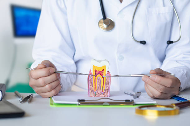 Best Knocked-Out Tooth Emergency  in Huntington Station, NY